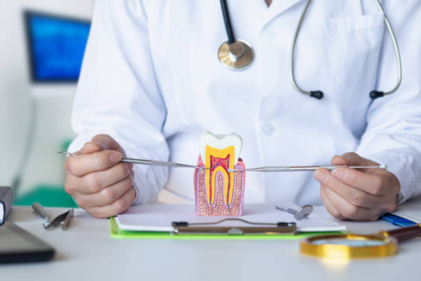 Best Emergency Wisdom Teeth Removal in Cordele, GA